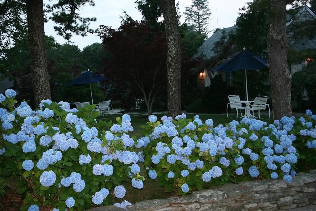 Pleasant Bay Village Resort Chatham Eksteriør bilde